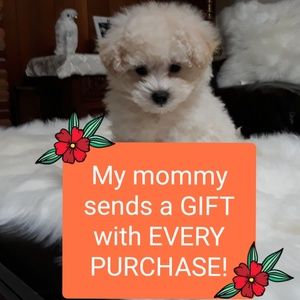 💕A little gift with every purchase!